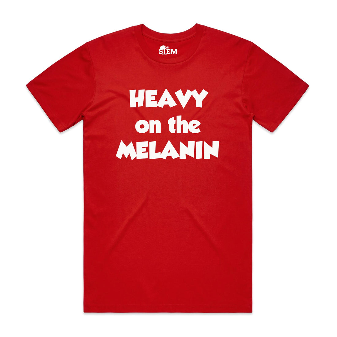 STEM Men's "HEAVY Z" T-Shirt
