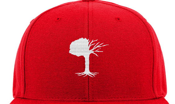 Snapbacks